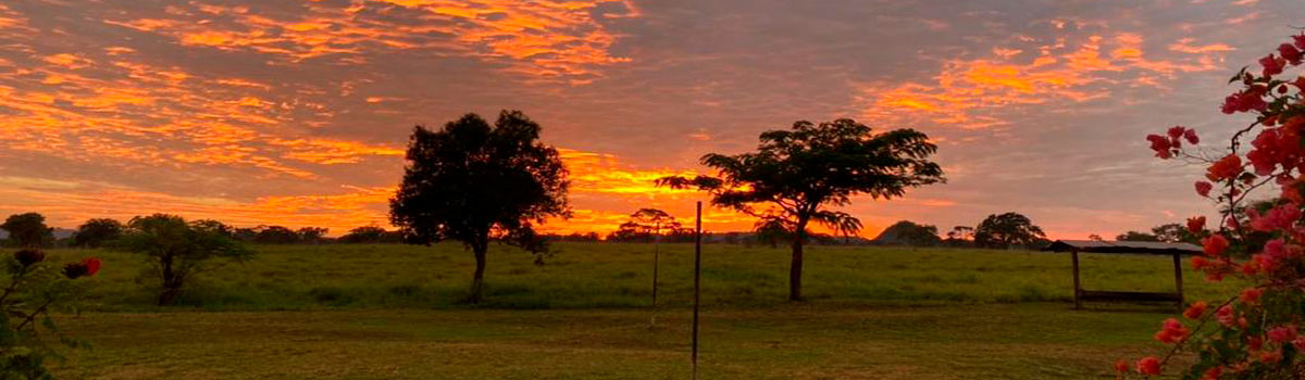 Criatório Floresta Negra