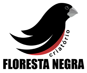 logotipo